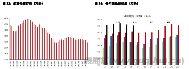 棉花供需处于平衡状态 生猪屠宰端或有备货需求