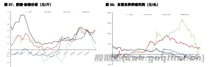 棉花供需处于平衡状态 生猪屠宰端或有备货需求