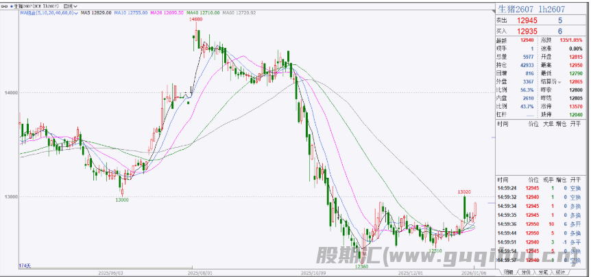 天气转冷及节日季到来 生猪价格呈现回暖迹象